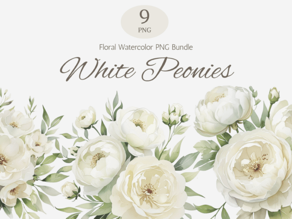 Download White Peonies Watercolor PNG Bundle - Peonies watercolor Collection
