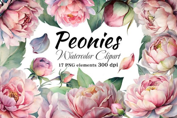 Download Peonies Watercolor Clipart, PNG - Peonies watercolor Collection